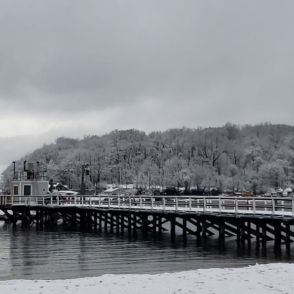 Meet your Posher, Caesar - Picture 1 of 1